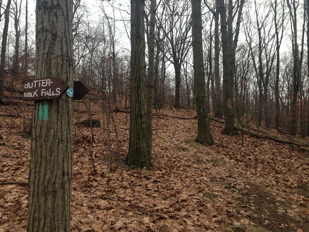 16 Sean Hunter Ryan Memorial County Park Long Path 01 Flickr