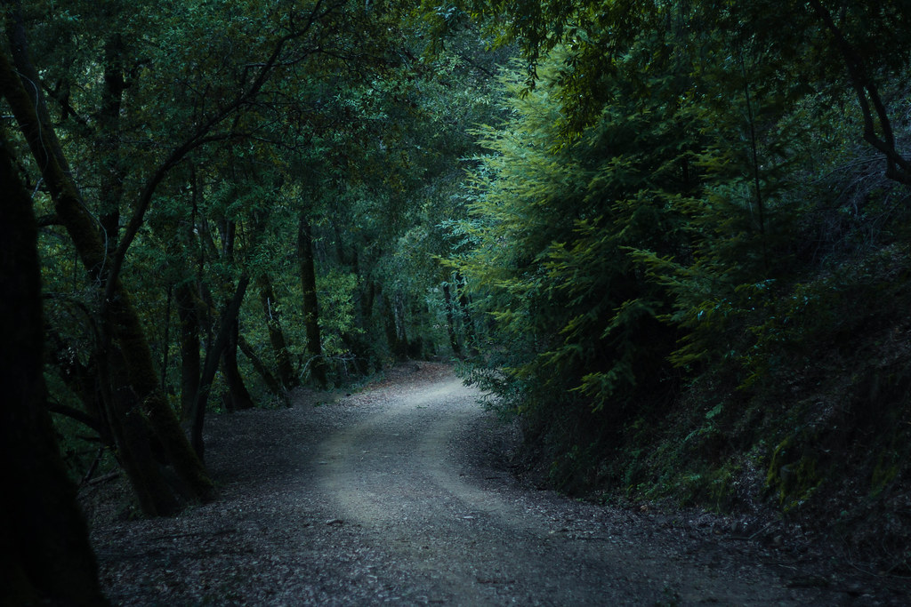 Elevation of Fairglen Drive, Fairglen Dr, San Jose, CA, USA