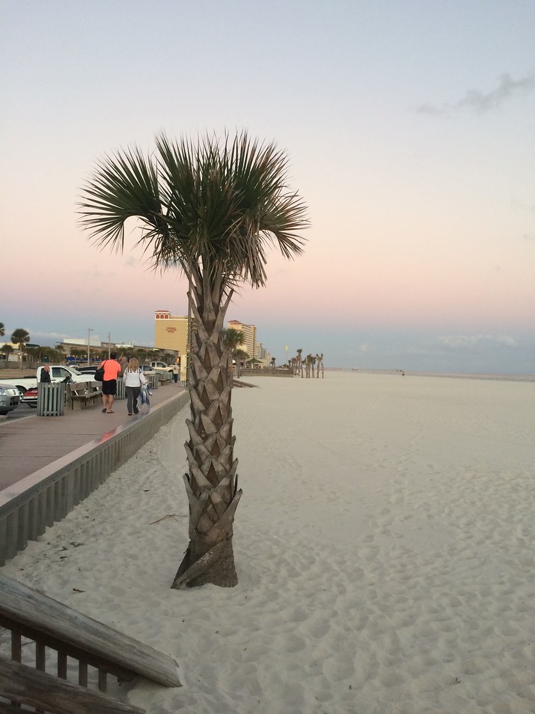 2015 January 20 Gulf Shores Alabama Baldwin County Flickr