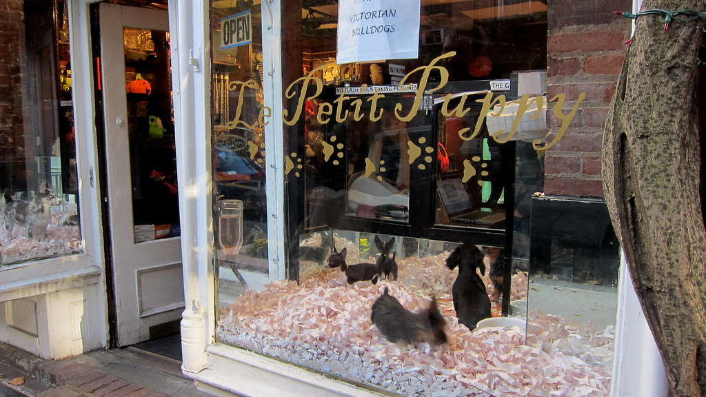 151025 011 West Village Christopher St, Le Petit Puppy Flickr