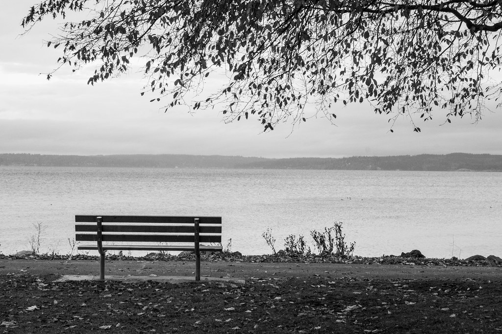 IMG_6869 Thea Billing Flickr