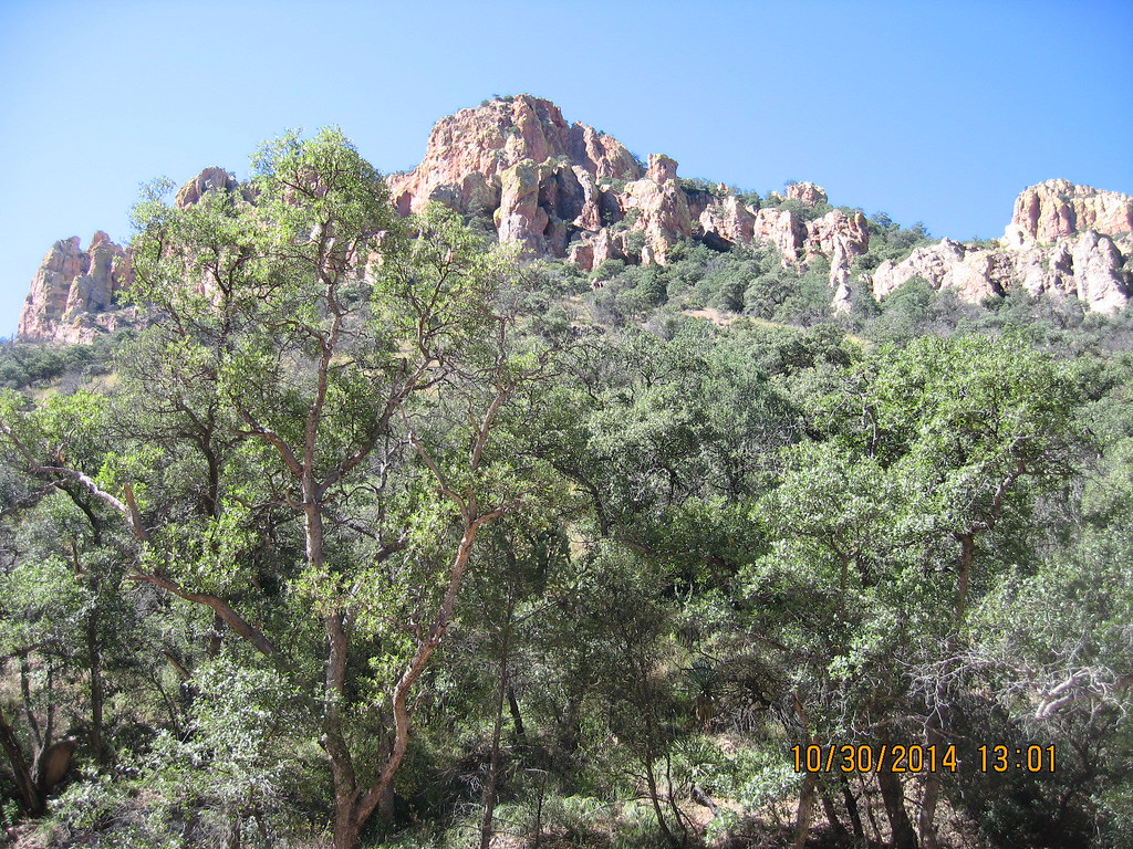 IMG_4833 2014_Oct_30 Cave Creek Canyon_Memories of Bisbee Chris