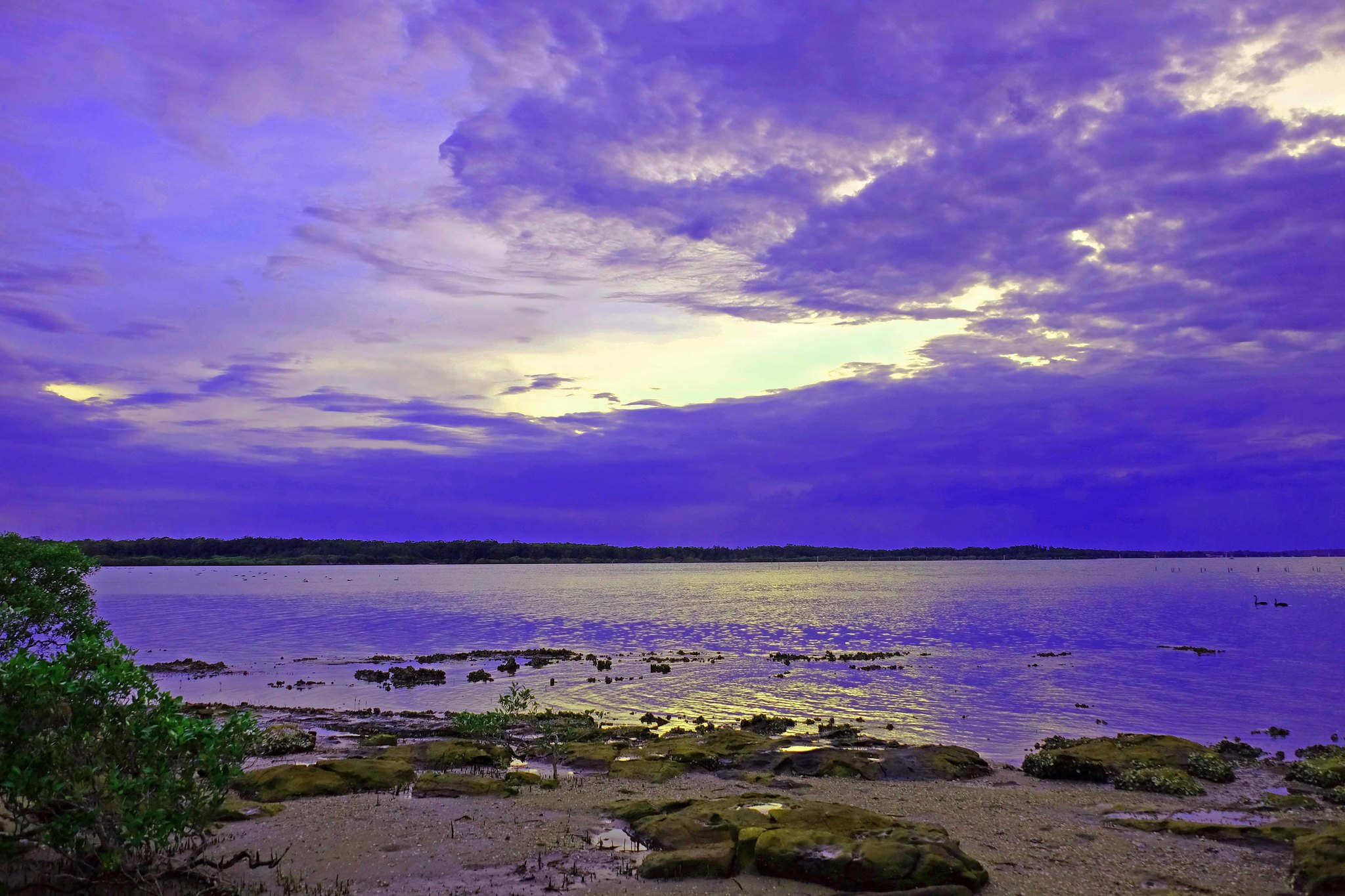 Tanilba Bay Campervan Finder