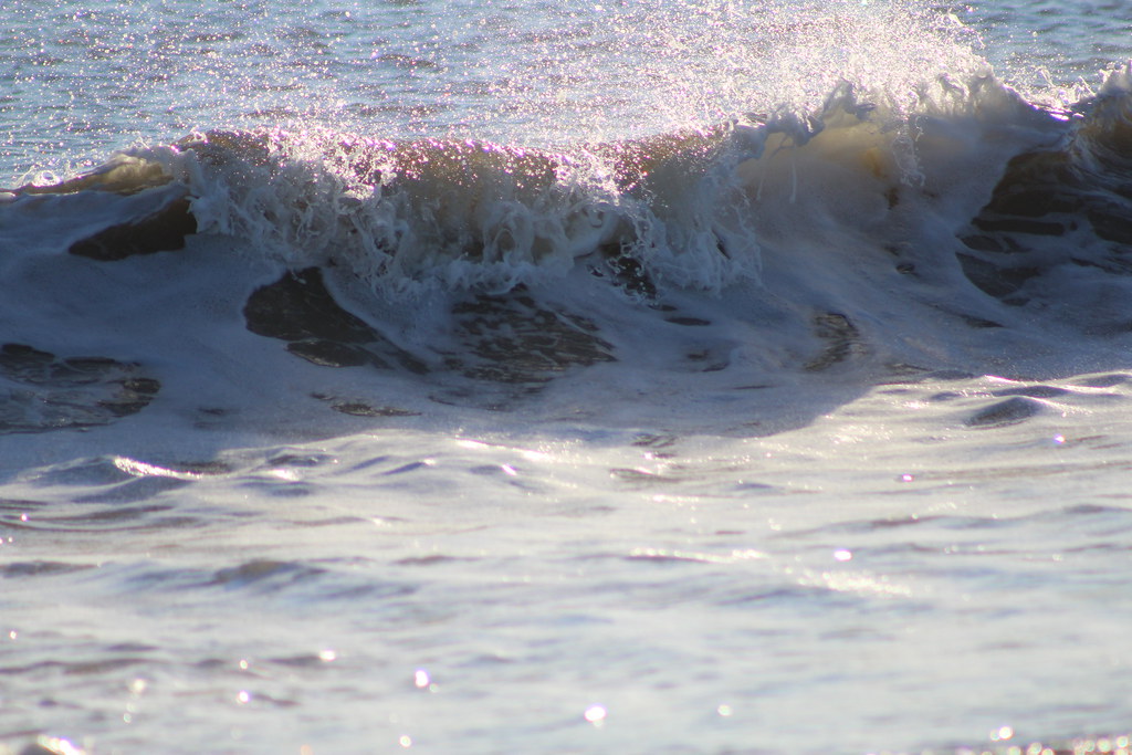 Moonstone beach RI 12132014 066 Mary Huffman Flickr