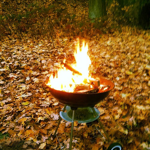 Getting rid of an old broken ladder and oak branches that … Flickr