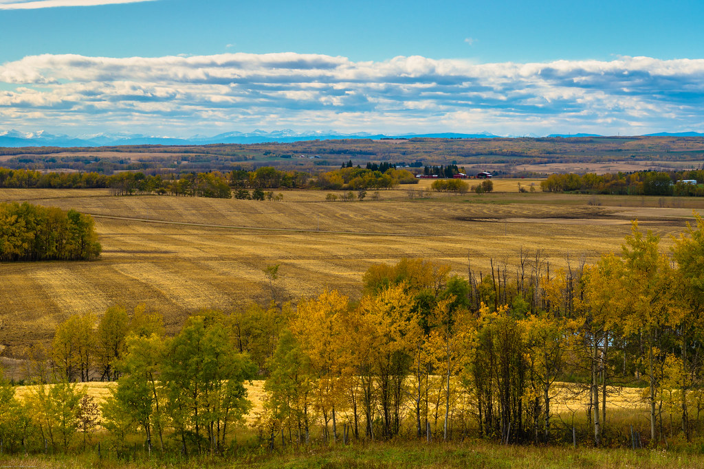 Pastoral fall landscape near Leslieville, AB. Rolling past… Flickr