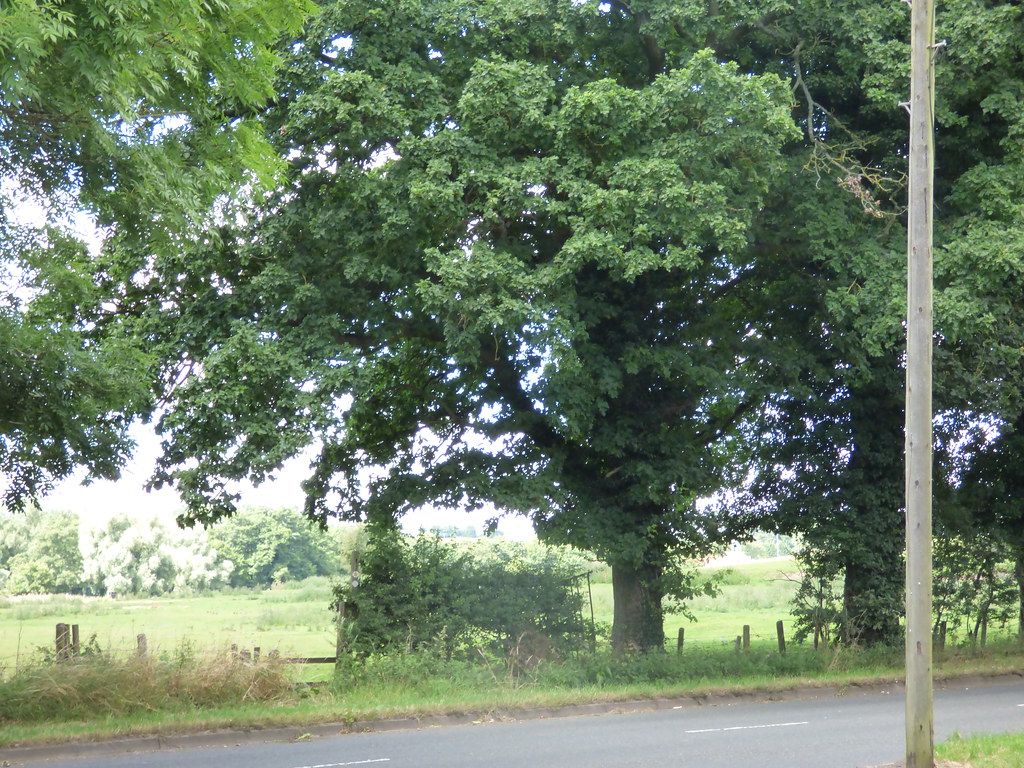 Sanders Park, Bromsgrove fields near Whitford Road a photo on