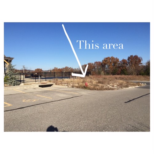 IMG_9887 Terrace Green Apartments Flickr