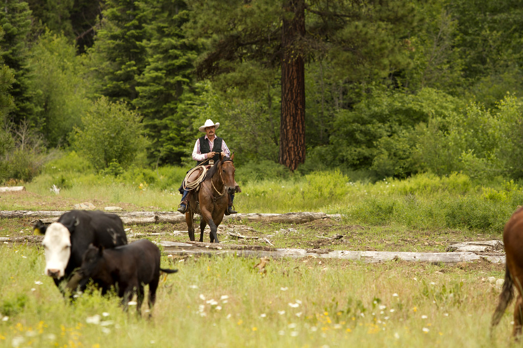 Range Rider in the Teanaway Valley. Photo Laura Owens Flickr