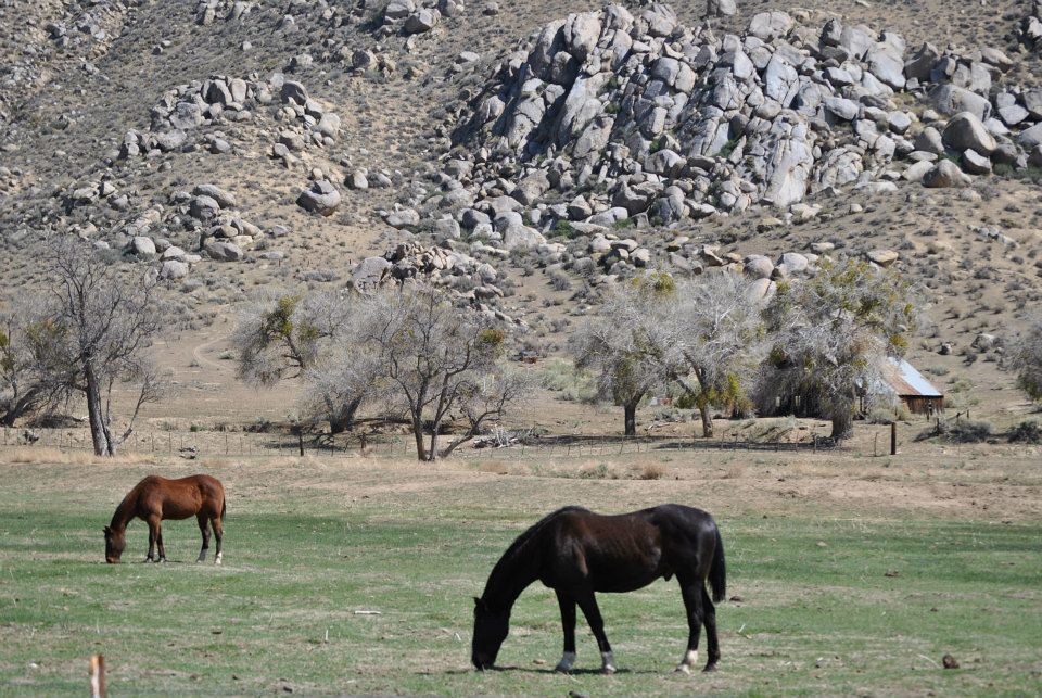 300713_4889758919544_1520386352_n Near Onyx CA Brian Baird Flickr