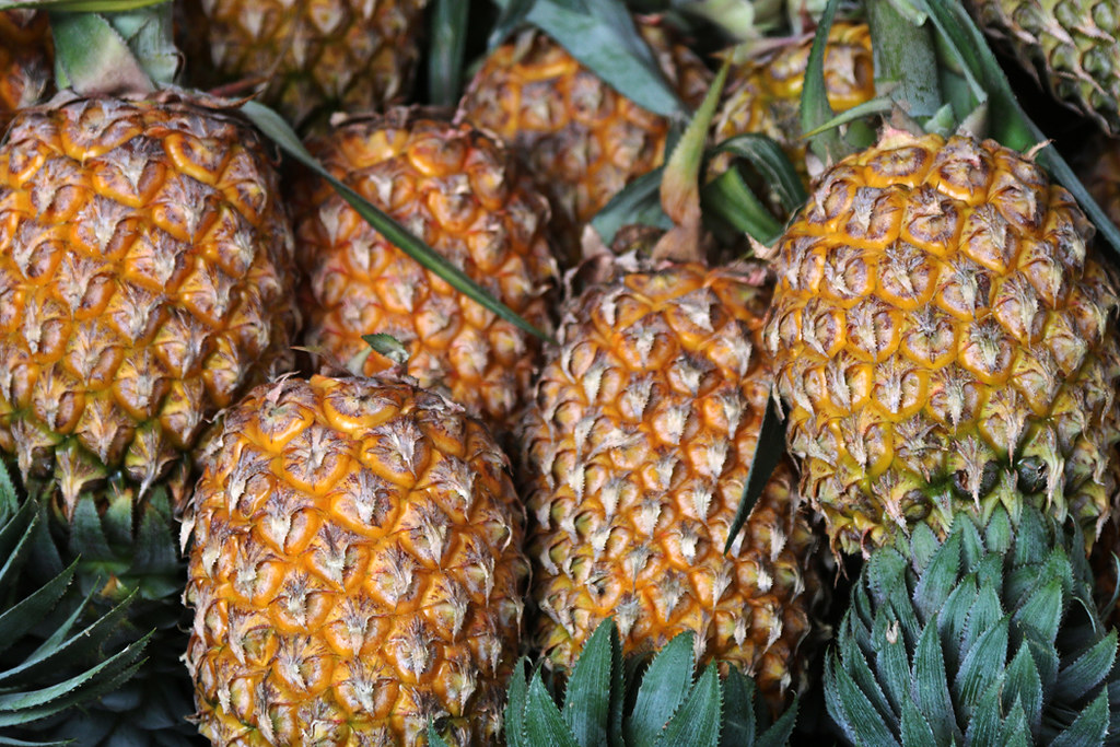 Pineapples (IMG_1121ed_b) Pineapples (ananas comosus) in K… Flickr