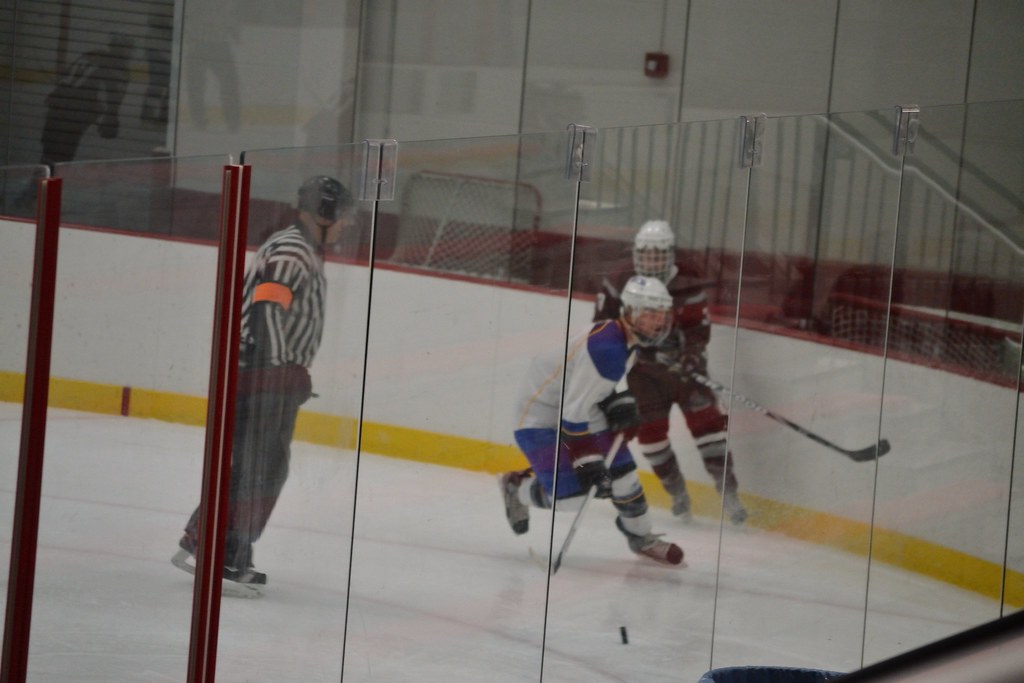 Hofstra Ice Hockey November 8, 2014 Billy Summa Flickr