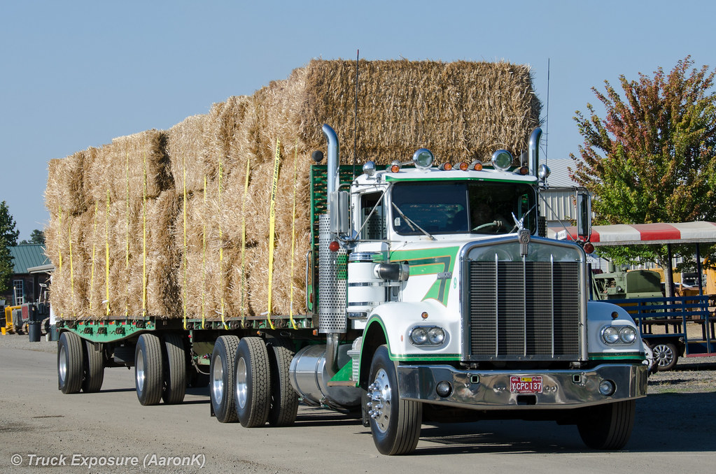 2014 Brooks Truck Show Flickr