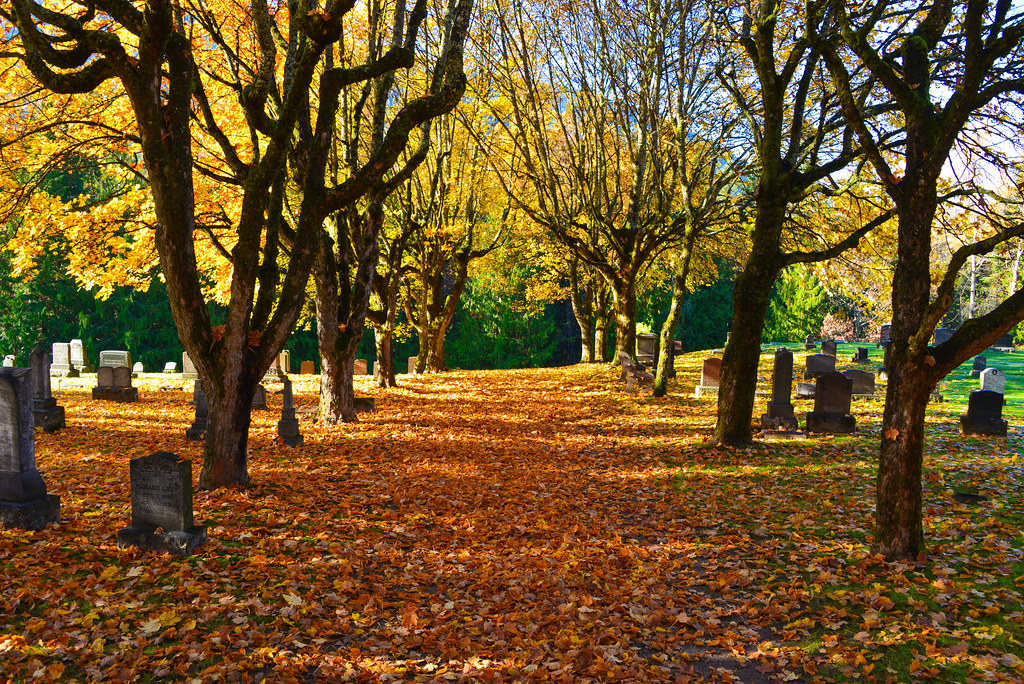 Nelson Cemetery in the Fall. Flickr