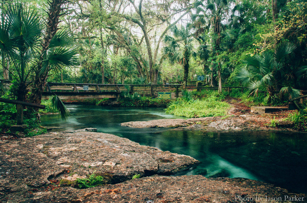 Rock Springs at Kelly Park Rock Springs, located in Orange… Flickr