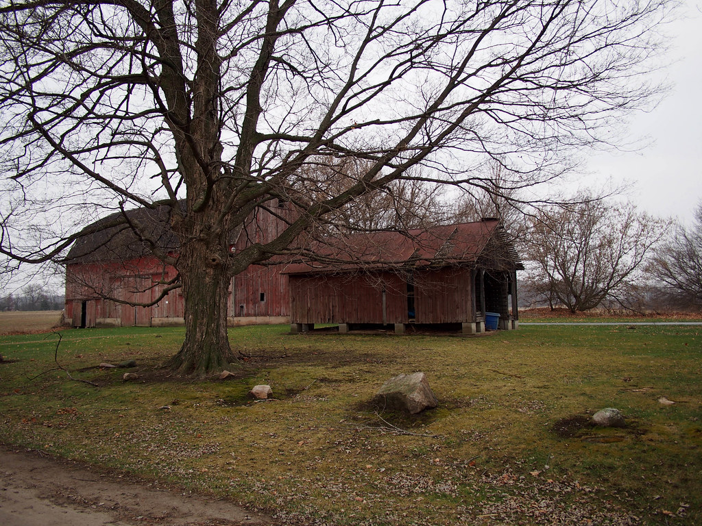 Farm on Fisk Road, 2014 Mature Maple tree & barns. Flickr