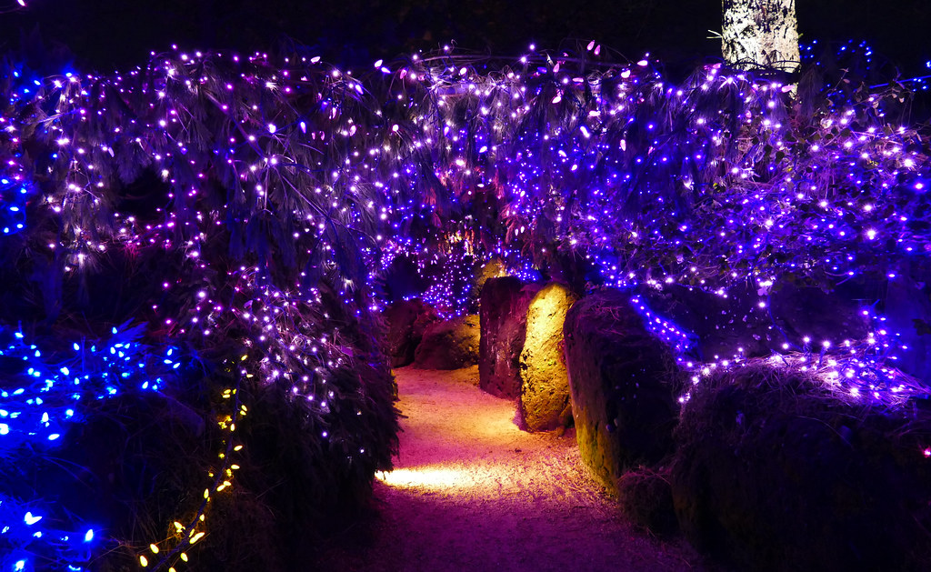 Van Dusen Christmas Lights1220094 Christmas at VanDusen B… Flickr