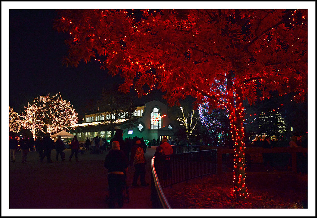 "Lights Before Christmas" at the Toledo, Ohio Zoo Wishing … Flickr