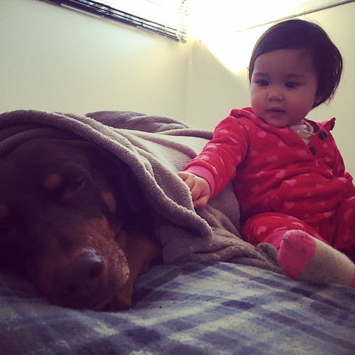 Brownie & Ellie. Sky Bell Flickr