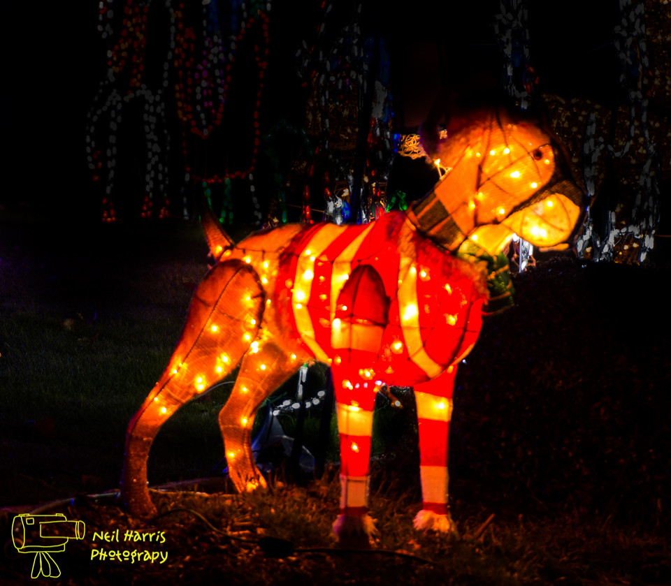 Holiday Lights14 Olympia, WA Neil Harris Flickr