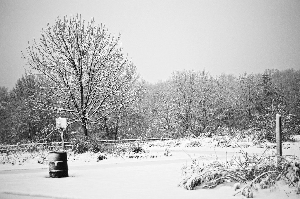 Charter Oak Park First snow in Peoria's Charter Oak Park DARSHAN
