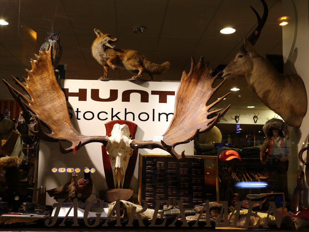 Hunt Stockholm This hunting store is next to my hotel, and… Flickr