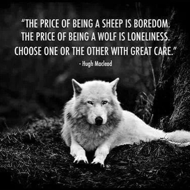 Lone wolf, love this great quote. I'm Wolfy all the way! … Flickr