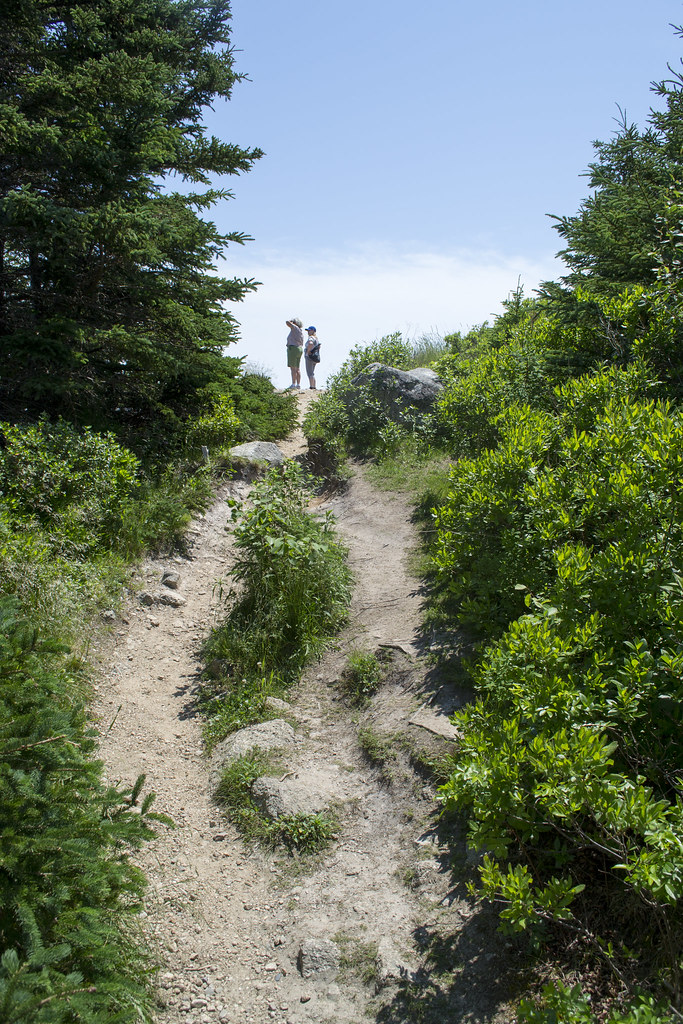 Herring Cove Provincial Park Reserve Map & Guide Halifax, NS