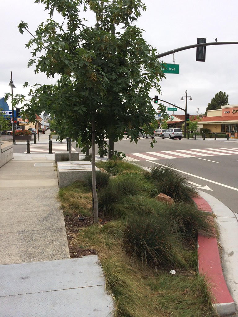 Trees of Castro Valley Boulevard Alameda, California 2014… Flickr