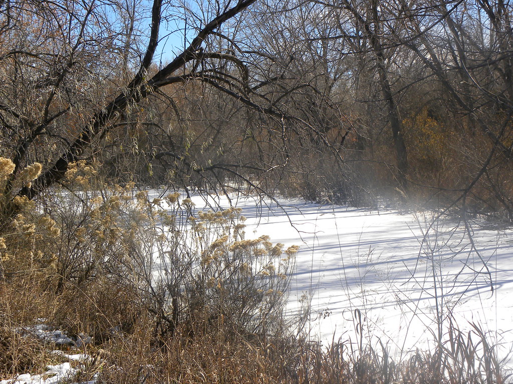 Late November, Prospect Park, Wheat Ridge, Colorado. Flickr