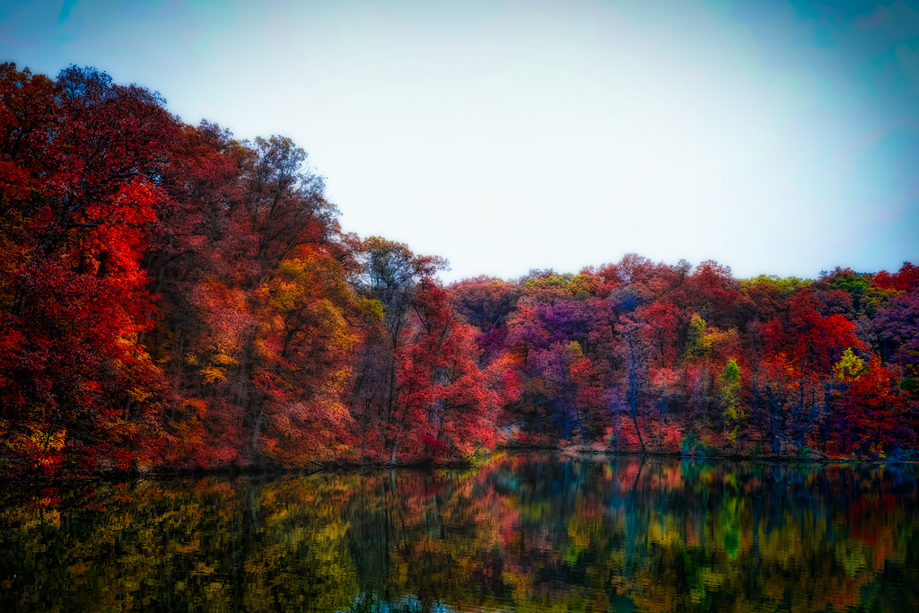 Fall at Dawson Lake Dawson lake is located in Mclean Count… Todd Ryburn Flickr