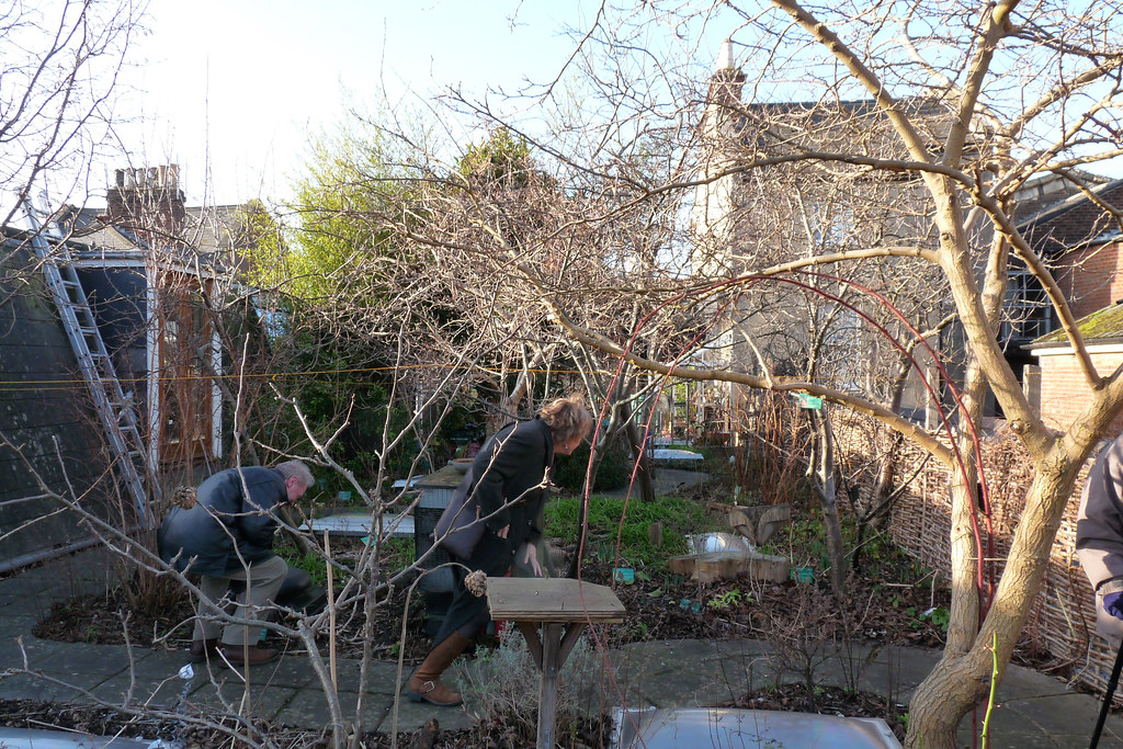 RISC roof garden, January 2015 (2) Forest roof garden on t… Flickr