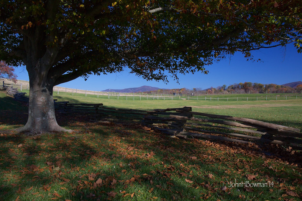 Elevation of Raphine Rd, Raphine, VA, USA Topographic Map Altitude Map