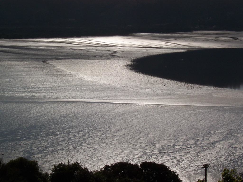 Mudflats Whangarei Habour mud flats Mat Flickr