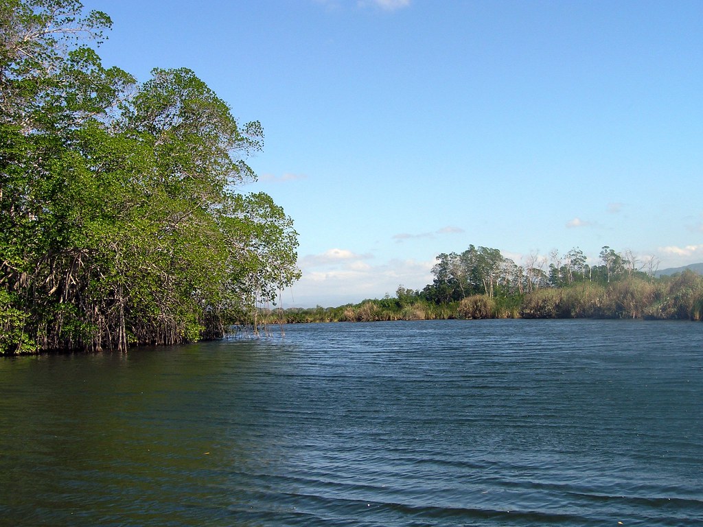 P1180013The Black River Gail Frederick Flickr