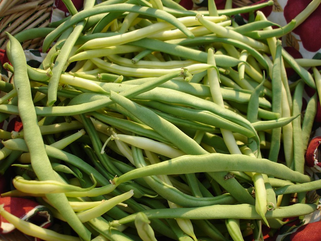 Yellow Wax Beans & Green Beans 2 Rod Flickr