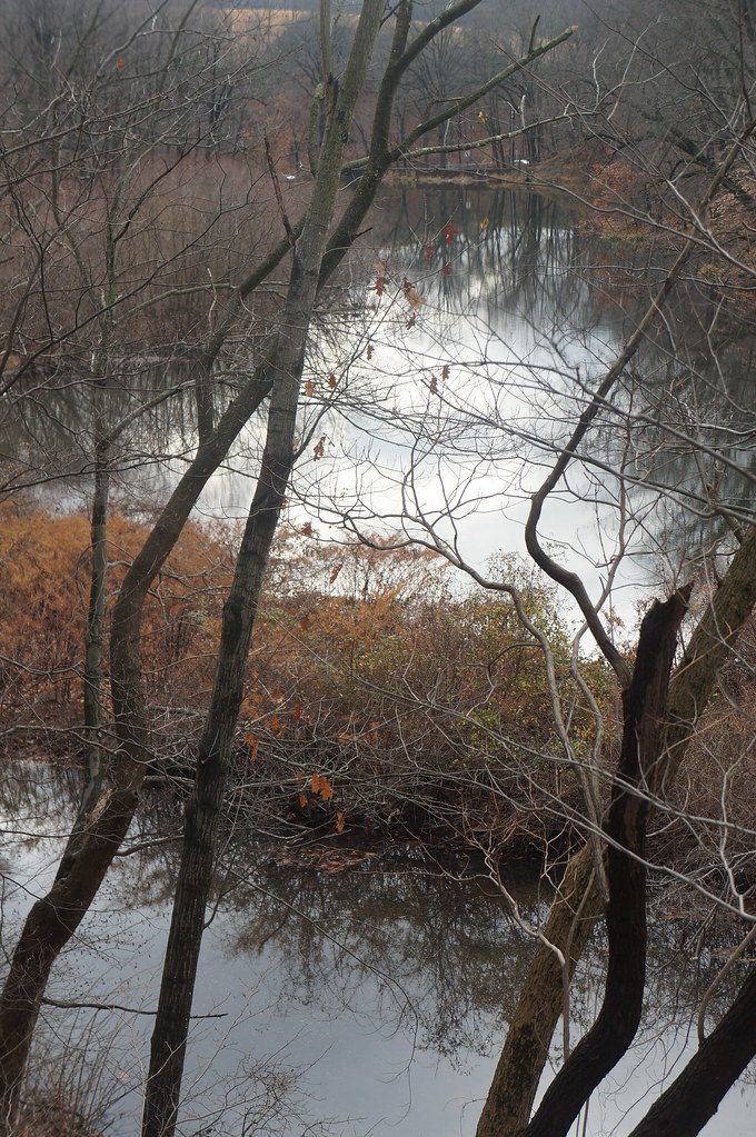 Seeley's Pond Sara Rall Flickr