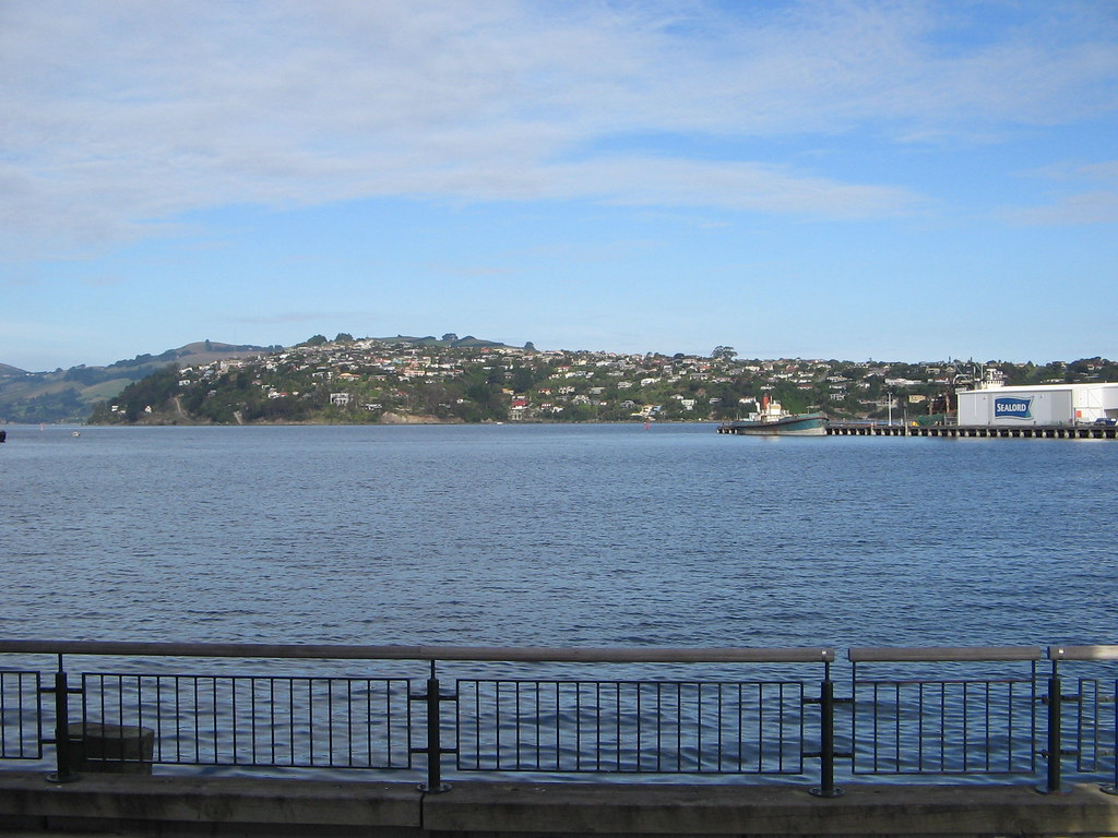 Otago Bay Flickr