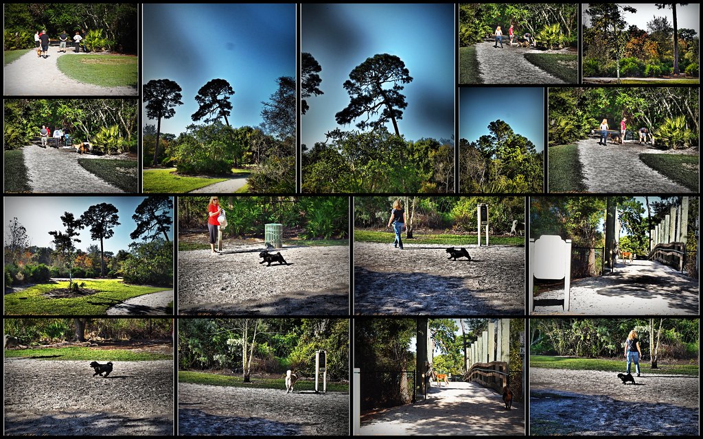 Dog Parks...Enterprise,Clearwater,Fl. Flickr
