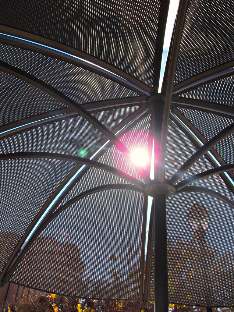 Stylish umbrella Outside Student Union, TWU Denton campus CameliaTWU Flickr