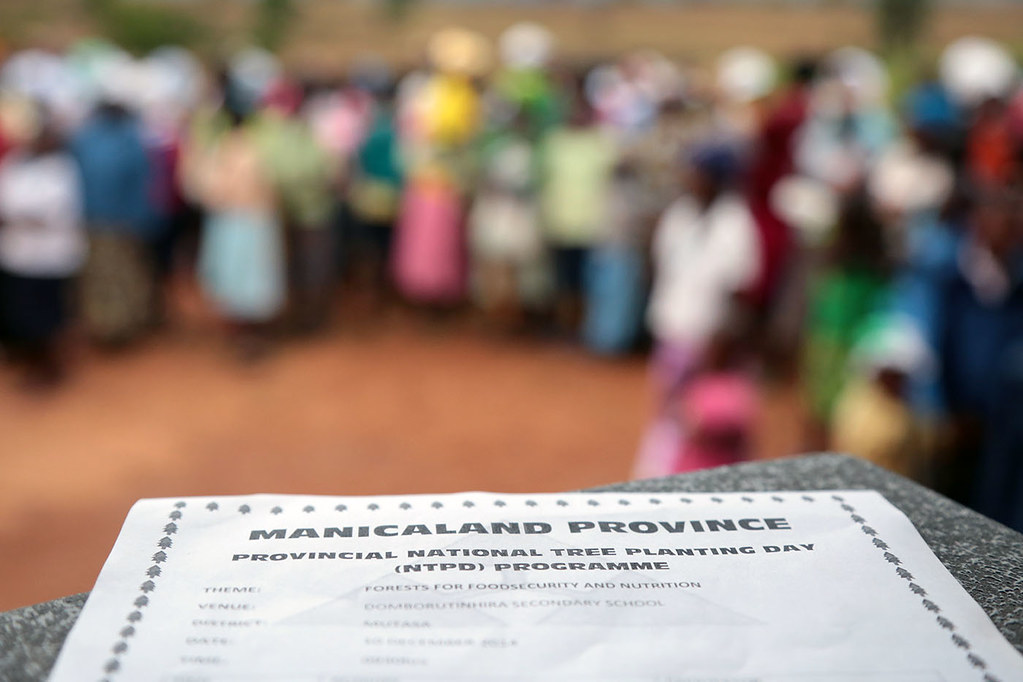 National Tree Planting Day on 10 December 2014 in Manicaland Province