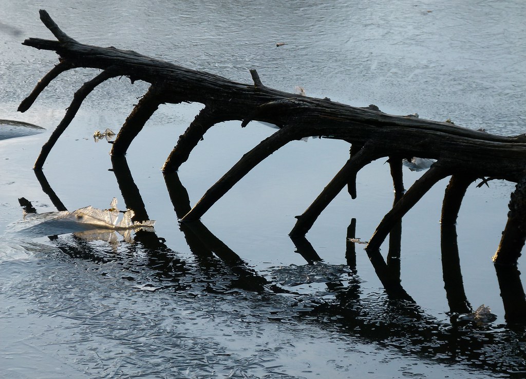 Winter Truxton Park, Annapolis, Maryland ingret9 Flickr