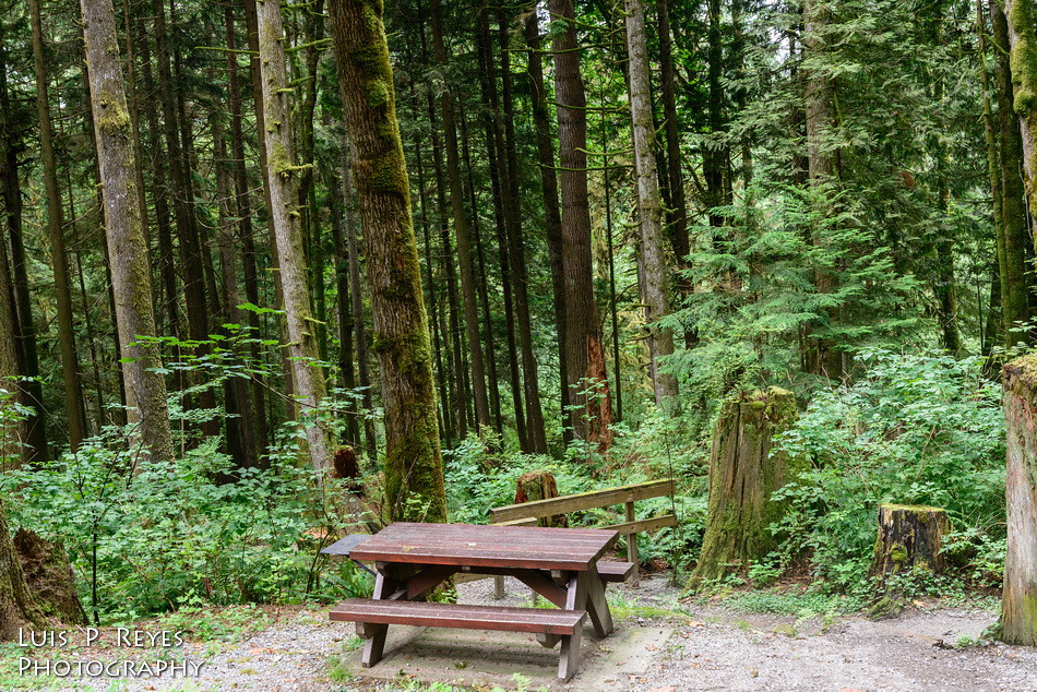 Hayward Lake Maple Ridge, BC SlowManLuis2011 Flickr