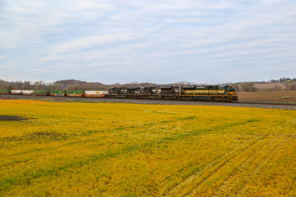 Elevation of Burroughs Rd, Cowlesville, NY, USA Topographic Map