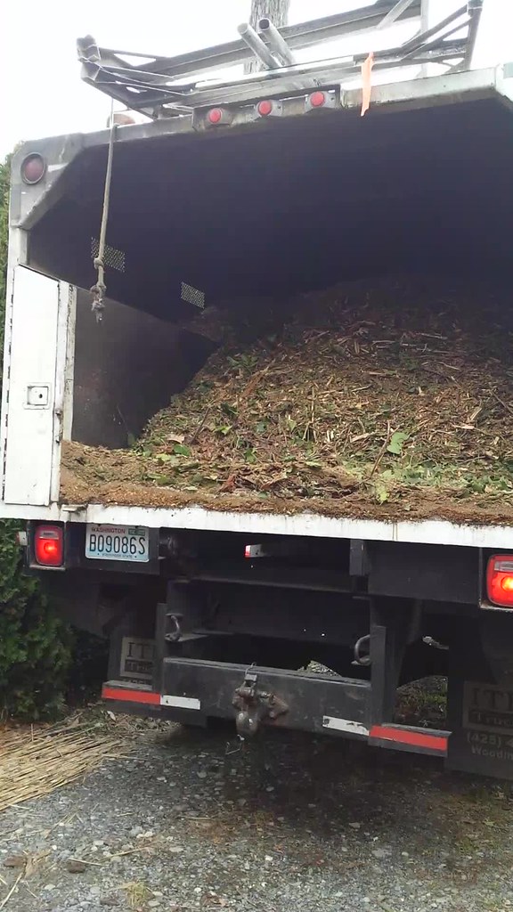 Recycling wood chips, delivered for free by the arborist's… Flickr
