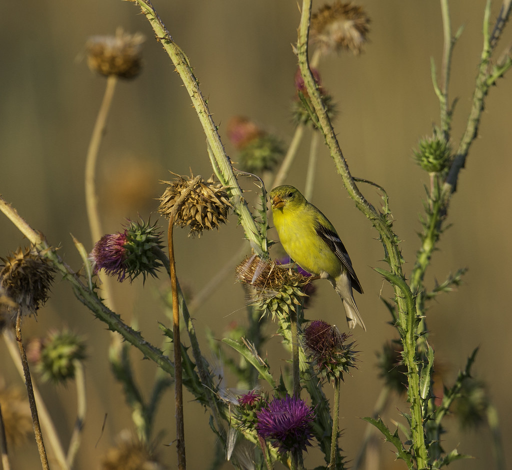 Elevation of Oak Valley, Deptford Township, NJ, USA Topographic Map