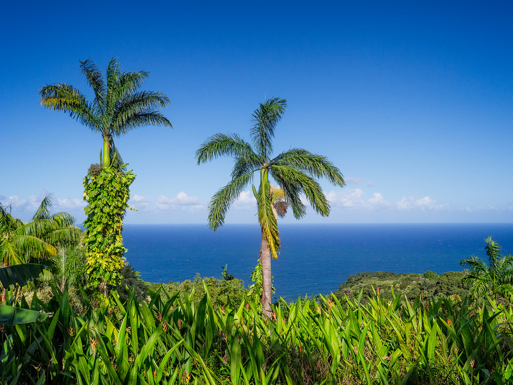 Views from the Garden of Eden Arboretum, Mile 10.5, Hana H… Flickr