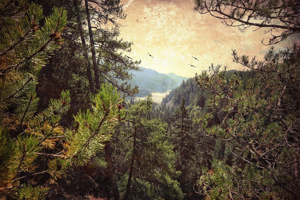 Surveying Sea To Sky Brandywine Falls B.C Canada Justin