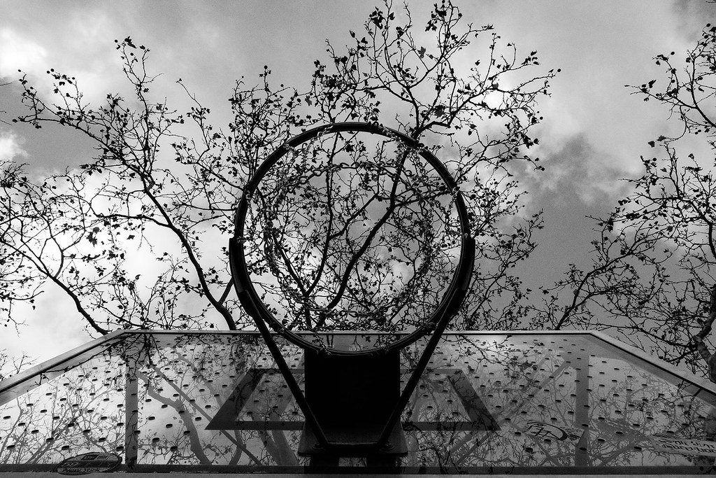 hoop, Lower East Side Basketball hoop in Sarah D. Roosevel… Flickr