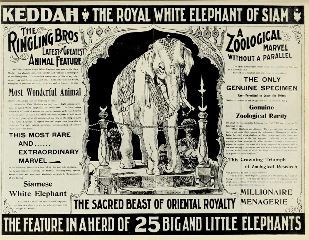 Ringling Brothers Circus Newspaper advert for Keddah the… Flickr